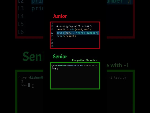 How Senior Developers debug python code | #python #programming