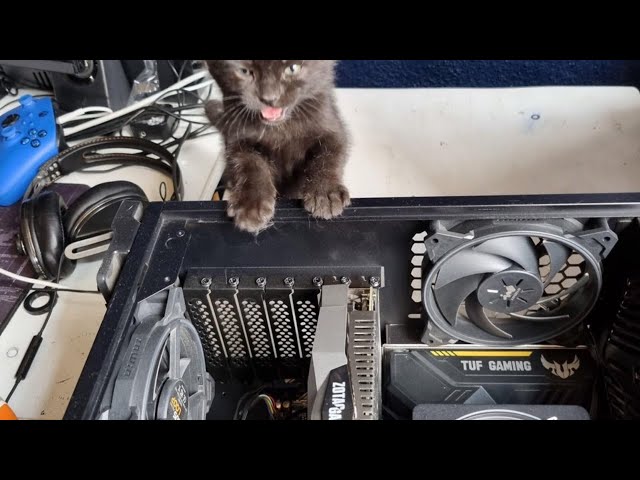 DEV WORK AND AND STUDIES FRONT - BACK AND DELIVERY FLOWS - LIVE CODING  + FULL STACK AND VIBE CODING