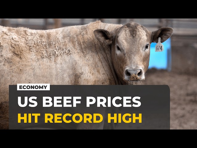 US beef prices hit record highs as Trump turns to imports