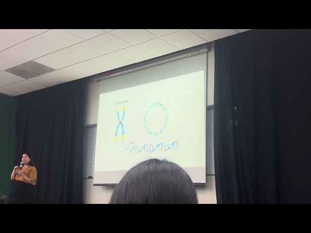 20 de agosto de 2025