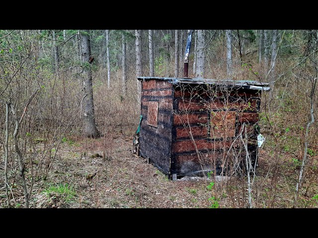 I'm Finished At The Off-Grid Cabin