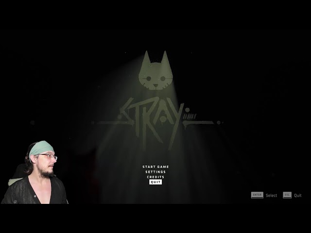 I finish Stray