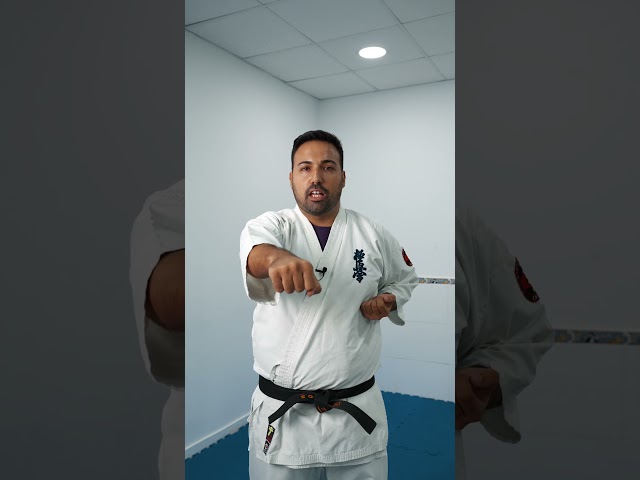 TÉCNICAS DE KÁRATE PARA PRINCIPIANTES