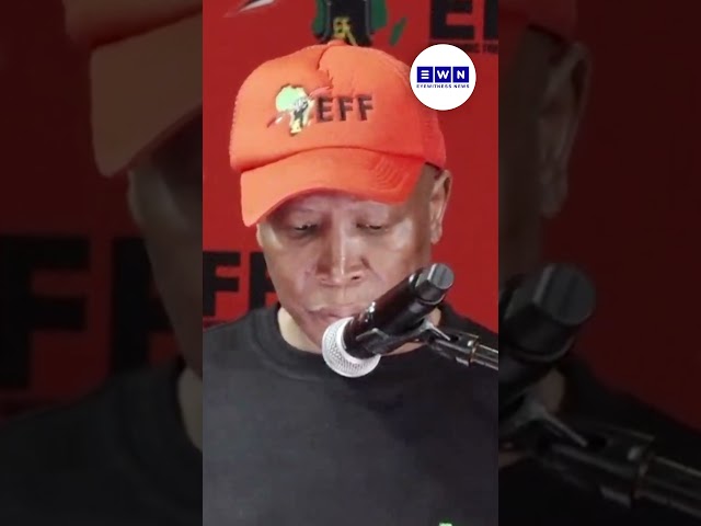 Julius Malema on former IDAC head Andrea Johnson