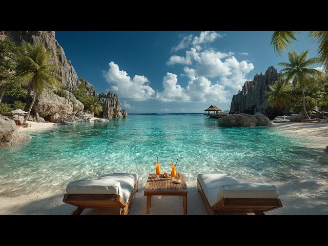 Tropical Beach Lounge Chillout Music for Relaxation, Study and Slow Living by the Ocean