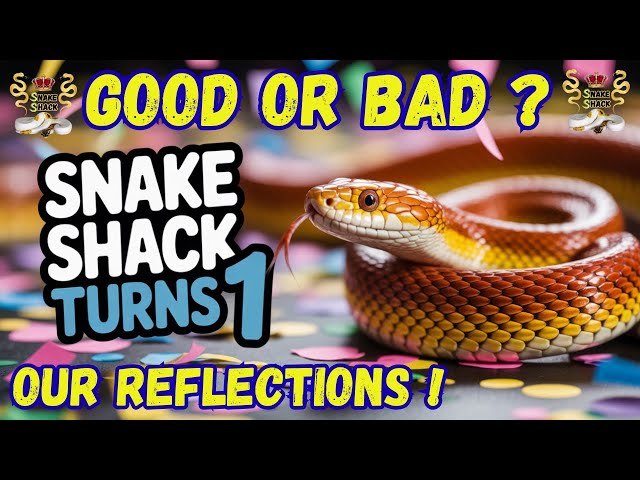 The Snake Shack 1 year Anniversary: Good Or Bad?