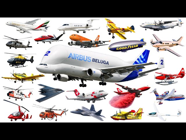 Aviones para niños | Aviones para niños | Vehículos aéreos en inglés