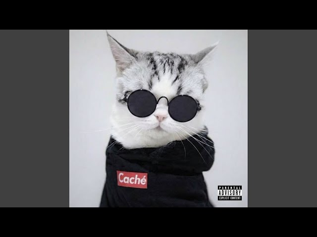 MIAU