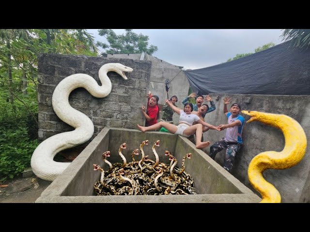 Expert Bravely Captures Giant White Python in Abandoned House