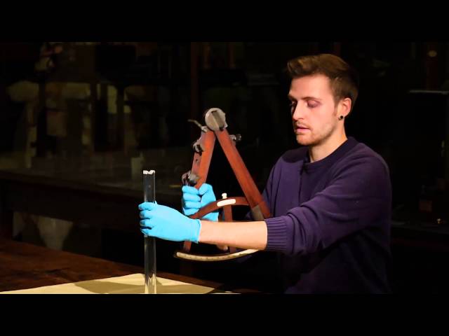 Animate It - Octant