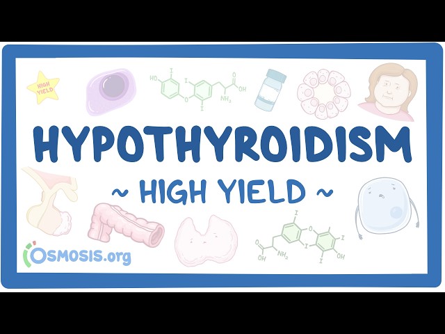 Hypothyroidism: Pathology review