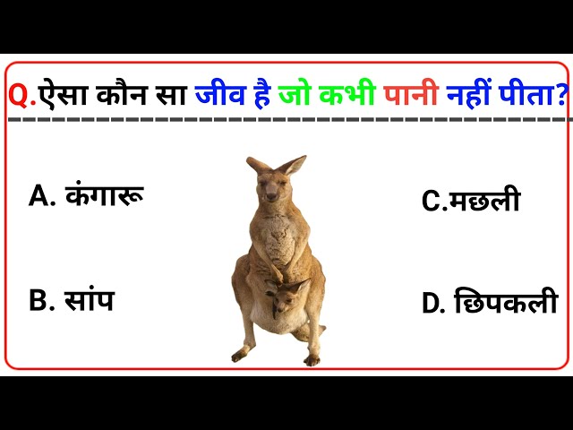 GK Question || GK In Hindi || GK || special gk quiz ||part 8