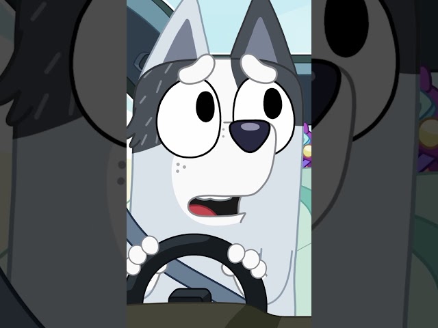 Muffin has to wear a cone!🤣💜 | Muffin - Official Channel