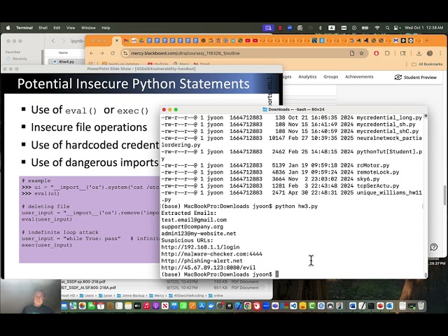 Software vulnerabilities with coding examples