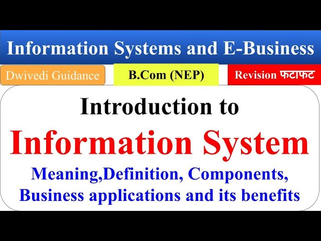 8| Introduction to Information Systems, Business applications, Information Systems and E Business
