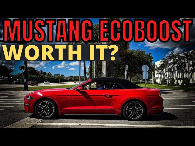 HERE'S WHY The EcoBoost Mustang Is A Great Entry-Level Sports Car!