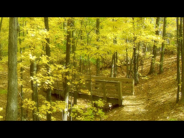 Altus - Autumn Breeze (2005)