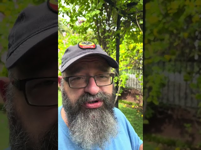 #Parole Suspended in United States for #Nicarargua, Venezuela, Haiti & Cuba #immigration