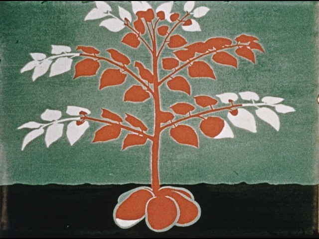 Seed of Success (1953)