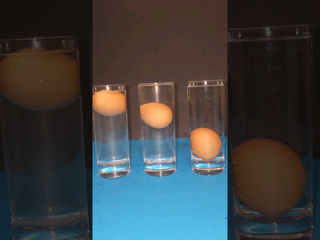 The Science of Floating an Egg (and Why It Fails)