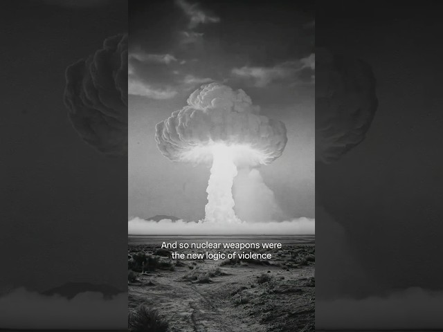 The Logic of Violence // A podcast film