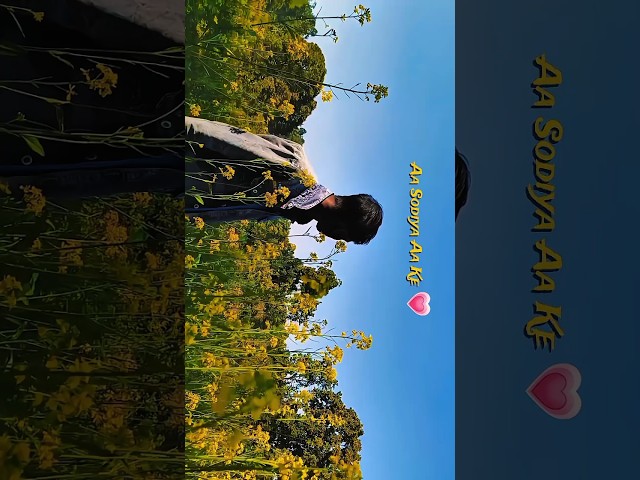 kaise batao tujhe kitna hai pyar we rab dikhta hai tujhme wo mere yaar we ❤cinematic