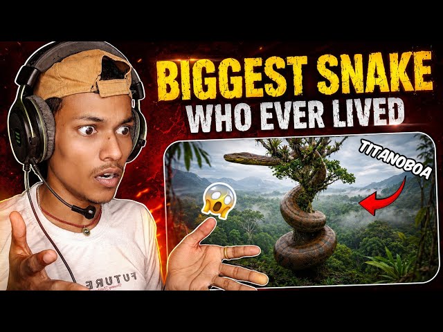 BIGGEST Snake Ever Lived 😱 Titanoboa Reaction | World's Largest Snake Explained