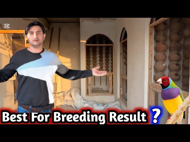 Do Yo Want a Successfull Breed Result ? Give These Best Nesting Materials For Your Breeding Birds 