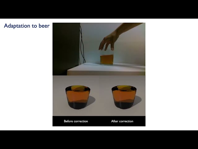 Physics-informed Reinforcement Learning for perception and reasoning about fluids