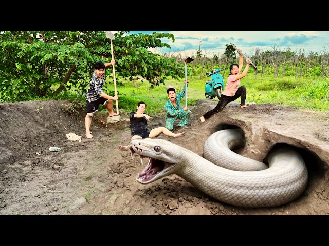 Brave Hunters Catch Ferocious Giant White Python By Hands