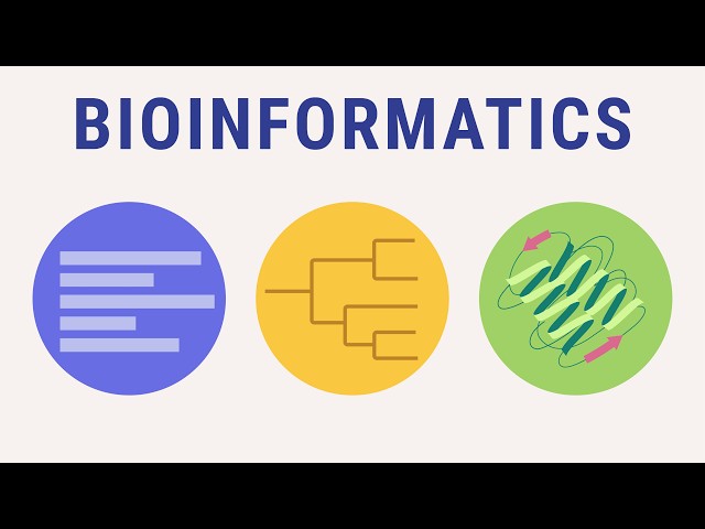 Bioinformatics explained | biology animation