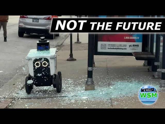 Autonomous Delivery Robots, Silicon Valley's Latest Flop