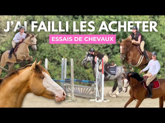 THE HORSES I TRIED (and almost bought!) 🤯🐴
