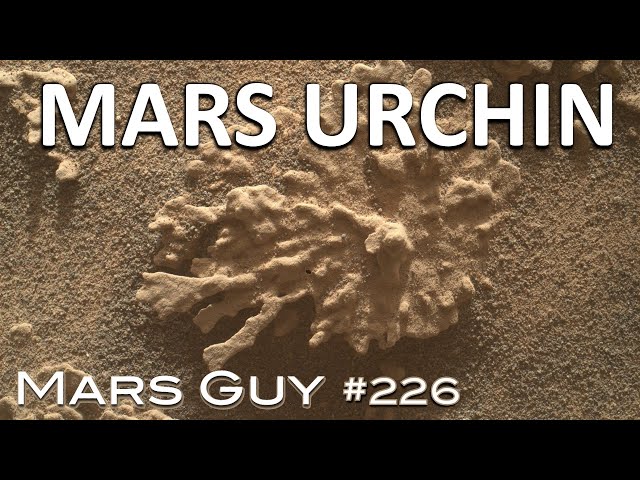 Curiosity encounters a curiosity