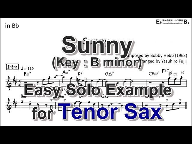 Sunny (B minor)  - Easy Solo Example for Tenor Sax