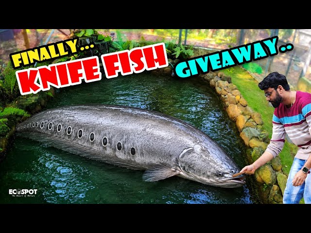 🎁GIVEAWAY തരാൻ നോക്കിയപ്പോൾ.. നമ്മുടെ കുളത്തിൽ കണ്ടത്😱 | Preparing a GIVEAWAY... Then This Happened.