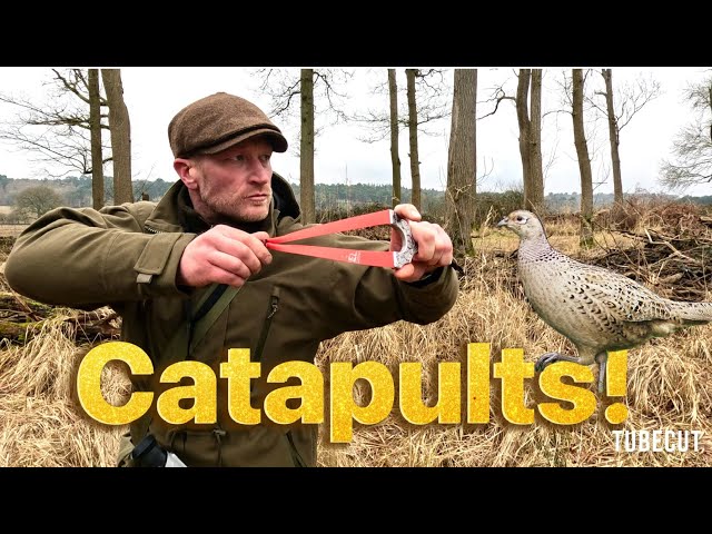 Catty Shack | Catapult Hunting | Goblet EVO