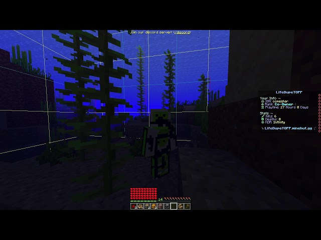 afk on lifeDUpeToPP stream #minecraft #server #fyp