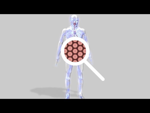 Au coeur des organes : La respiration cellulaire