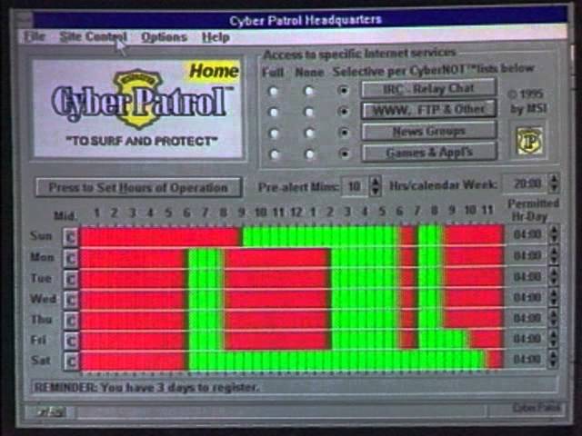 The Computer Chronicles - Online Tips (1995)