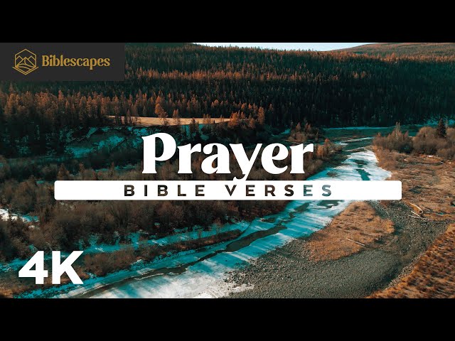 Bible Verses on Prayer | 4K | 12 Minutes | 50+ Scriptures | Audio Bible + Music