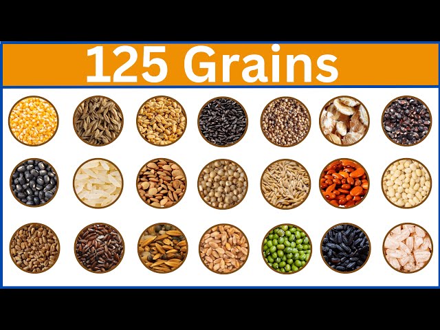 Exploring 125 Unique Grain Names || List of Grains