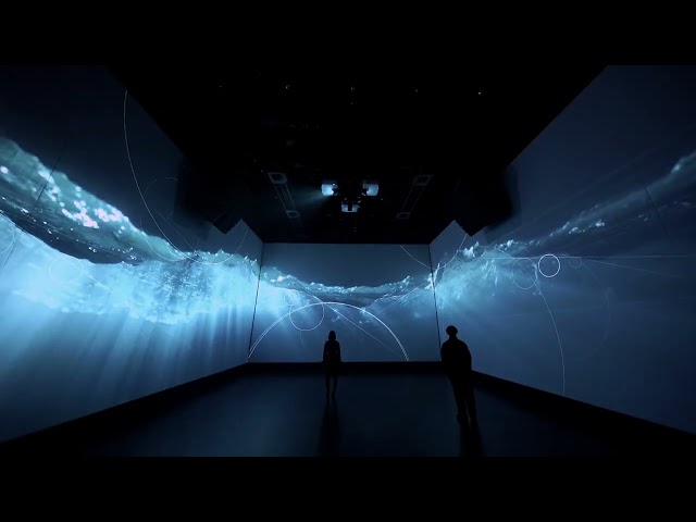 Kyoka: Moment in Composition