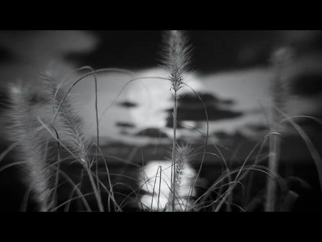 TENDER - Snake Oil (Official Visualiser)