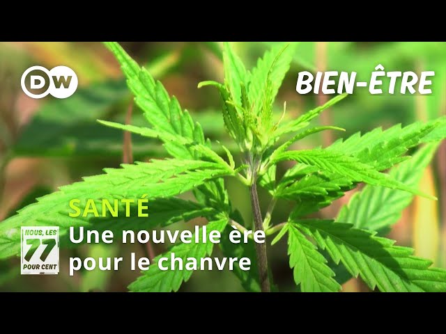 Une nouvelle ère pour le chanvre