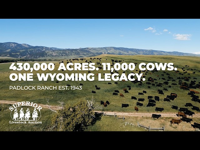Inside a 430,000-Acre Wyoming Ranch: The Padlock Ranch Story