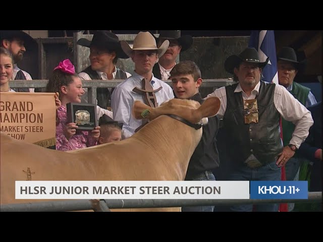 Grand Champion steer, Zinger, shatters record at Houston Livestock Show and Rodeo steer auction