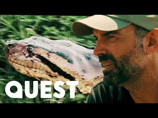 Searching For The Legendary 50m Long Yacumama Snake | Expedition Mungo