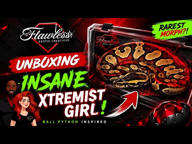 You Won’t Believe This Xtremist Female from Sloan Morphs! 🐍