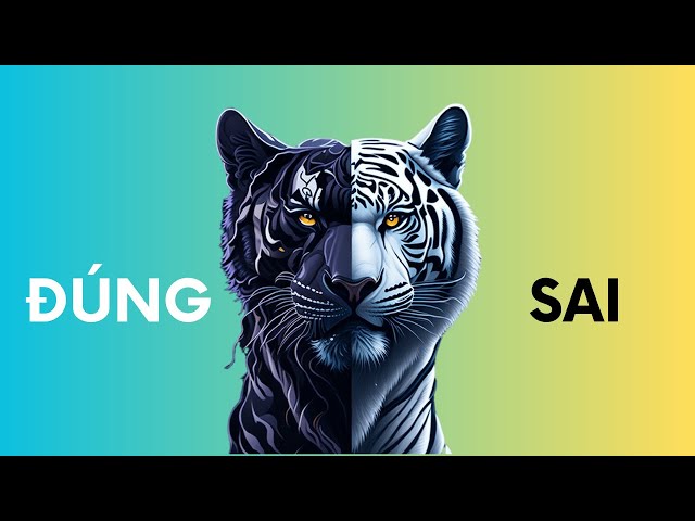 boolean - Cái Đúng Cái Sai trong JAVA | Code Thu